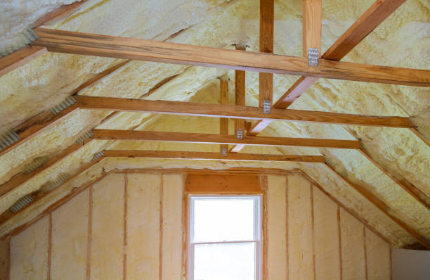 Best Spray Foam Insulation  in Rowlett, TX