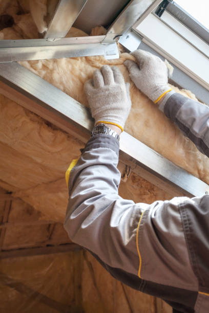 Best Insulation for New Construction  in Rowlett, TX