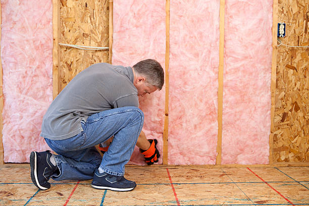 Best Professional Insulation Contractor  in Rowlett, TX