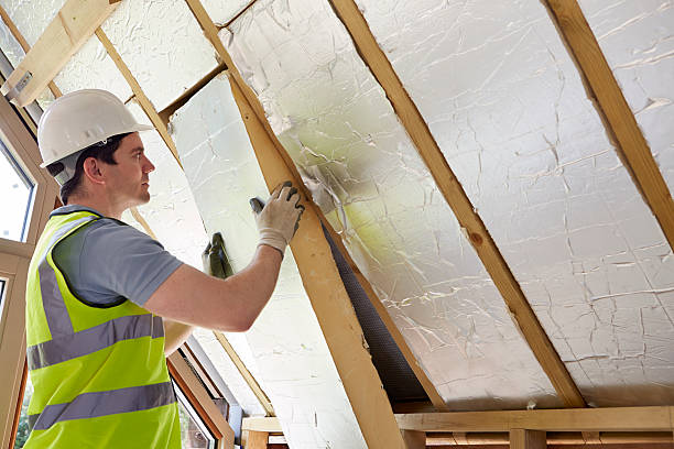 Best Cellulose Insulation  in Rowlett, TX