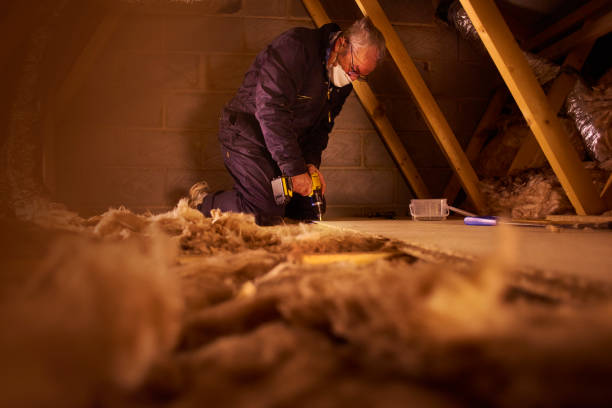 Best Fiberglass Insulation  in Rowlett, TX