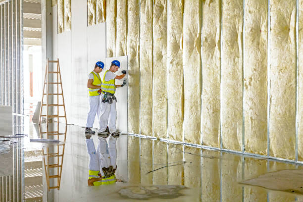 Best Commercial Insulation Contractor  in Rowlett, TX